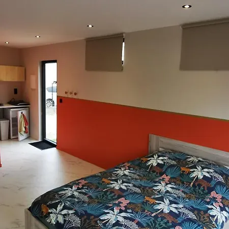 Chez Aurel Et Nico. Apartament